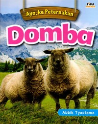 Ayo, Ke Peternakan Domba